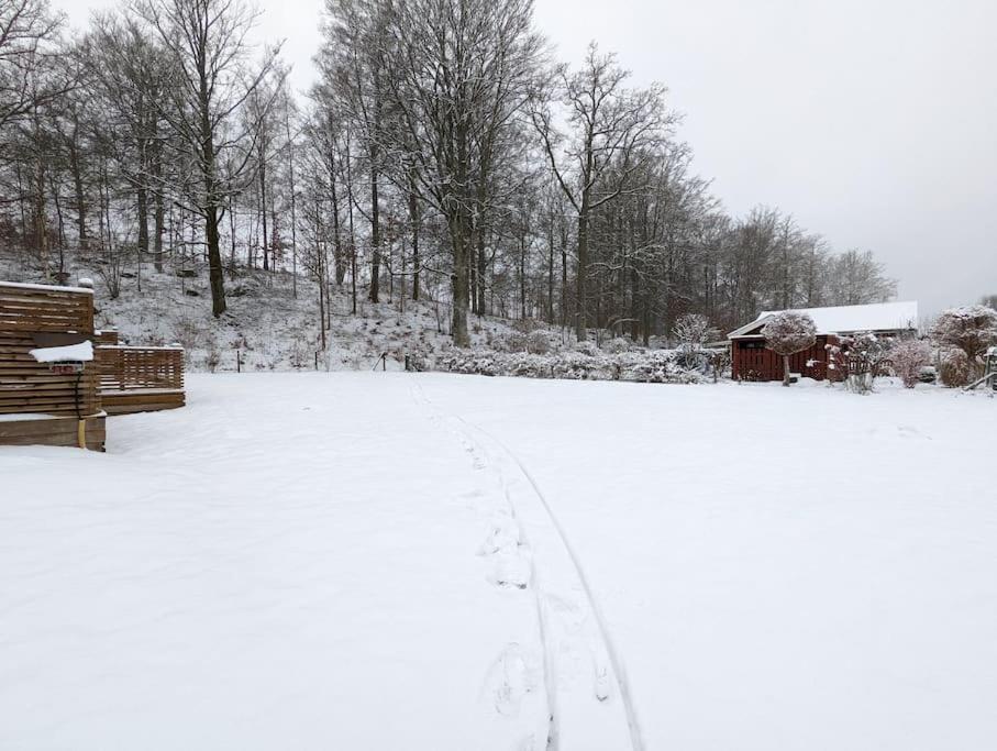 Beautiful And Cosy House Near The Lake Olofström المظهر الخارجي الصورة