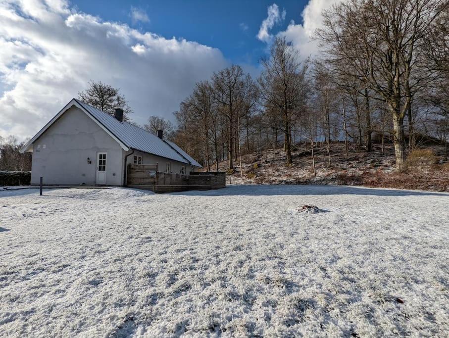 Beautiful And Cosy House Near The Lake Olofström المظهر الخارجي الصورة
